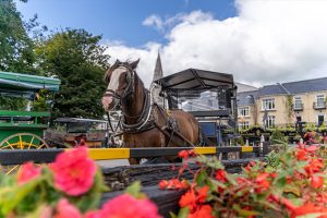 Killarney Jaunting Car Tour