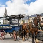 Enjoy the sights of Killarney National Park from the traditional Jaunting Car. Operating all year-round, the Killarney Jaunting car trip is a "must" for every one visiting Killarney.