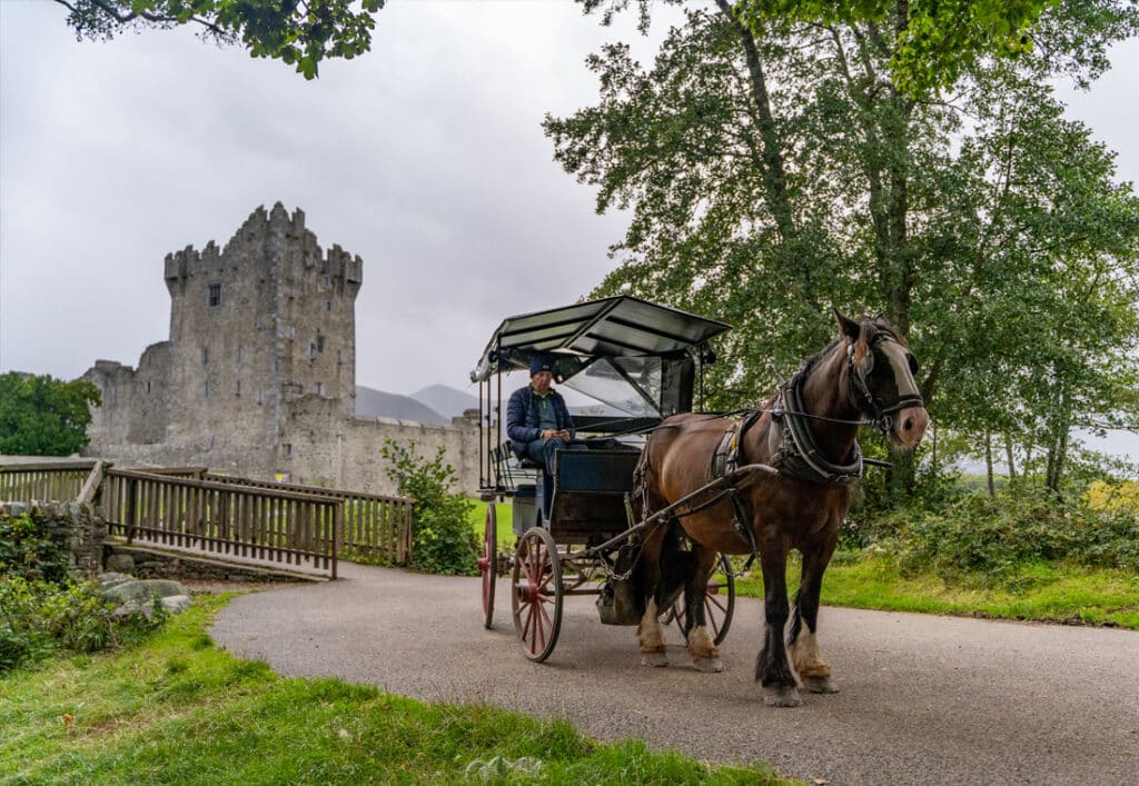 Enjoy the sights of Killarney National Park from the traditional Jaunting Car. Operating all year-round, the Killarney Jaunting car trip is a "must" for every one visiting Killarney.
